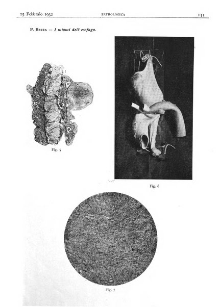 Pathologica rivista quindicinale