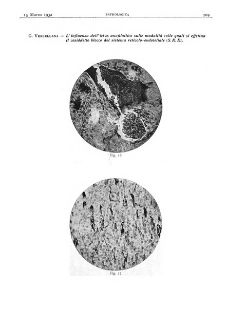 Pathologica rivista quindicinale