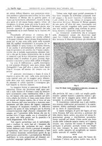 giornale/CFI0361052/1932/unico/00000277