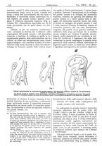 giornale/CFI0361052/1932/unico/00000322