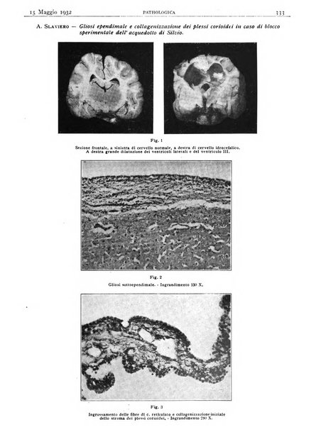 Pathologica rivista quindicinale