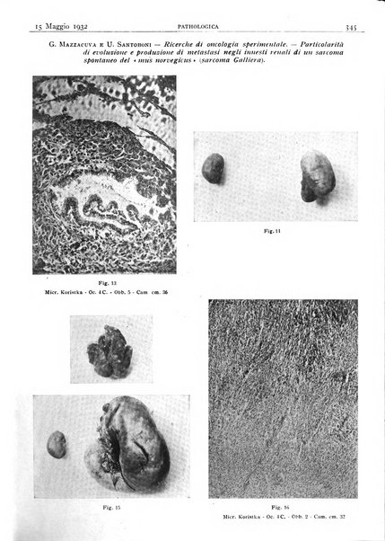 Pathologica rivista quindicinale