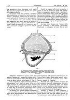 giornale/CFI0361052/1932/unico/00000400