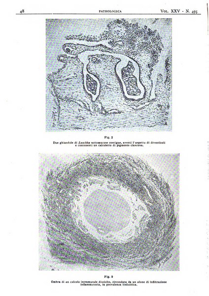 Pathologica rivista quindicinale