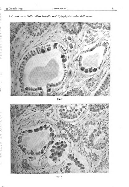 Pathologica rivista quindicinale