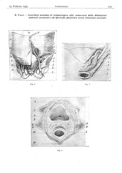 Pathologica rivista quindicinale