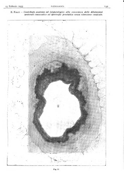 Pathologica rivista quindicinale