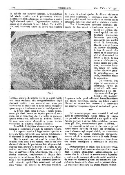 Pathologica rivista quindicinale