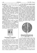 giornale/CFI0361052/1933/unico/00000394