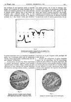 giornale/CFI0361052/1933/unico/00000395