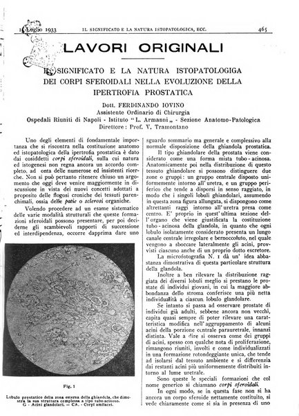 Pathologica rivista quindicinale