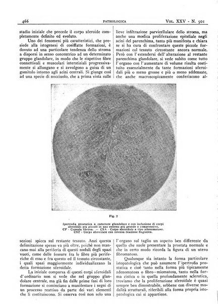 Pathologica rivista quindicinale