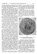 giornale/CFI0361052/1933/unico/00000529