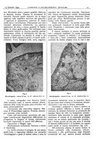 giornale/CFI0361052/1934/unico/00000051