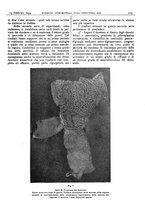 giornale/CFI0361052/1934/unico/00000121