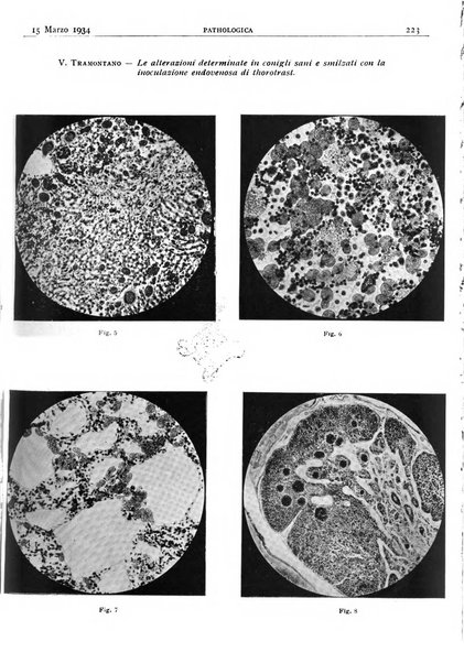 Pathologica rivista quindicinale