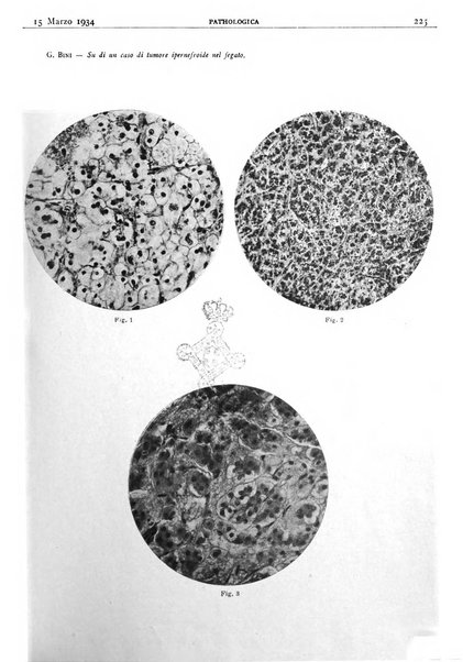 Pathologica rivista quindicinale