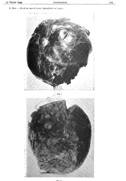 Pathologica rivista quindicinale