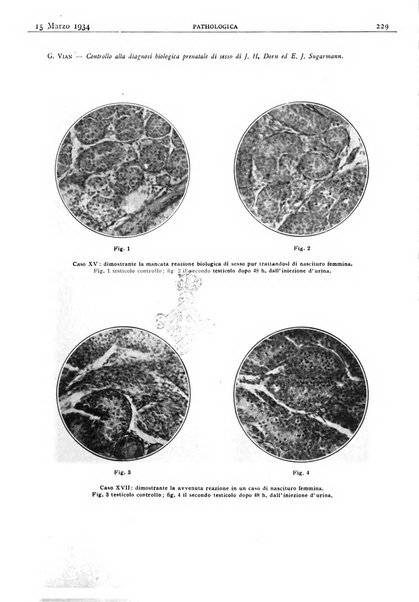 Pathologica rivista quindicinale