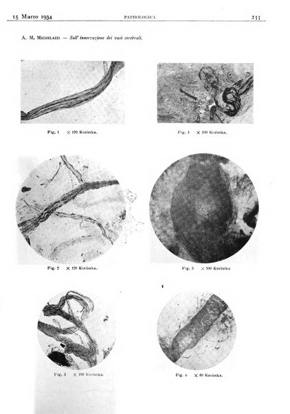 Pathologica rivista quindicinale