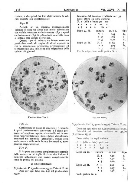 Pathologica rivista quindicinale