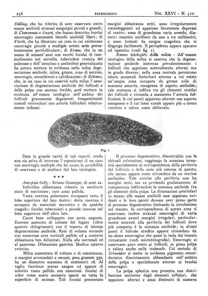 Pathologica rivista quindicinale