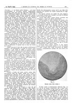 giornale/CFI0361052/1934/unico/00000281