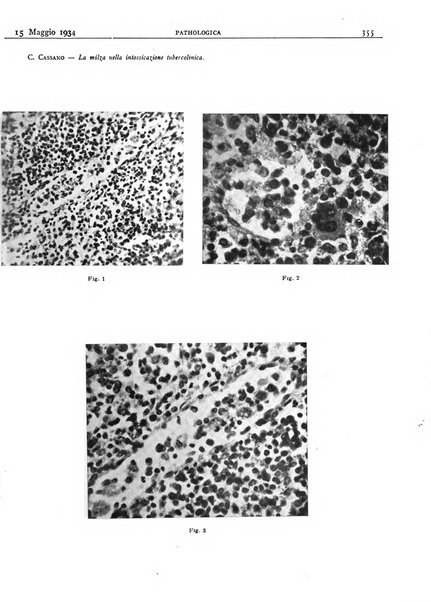 Pathologica rivista quindicinale