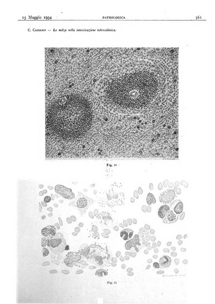 Pathologica rivista quindicinale