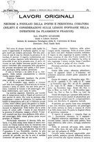 giornale/CFI0361052/1934/unico/00000411