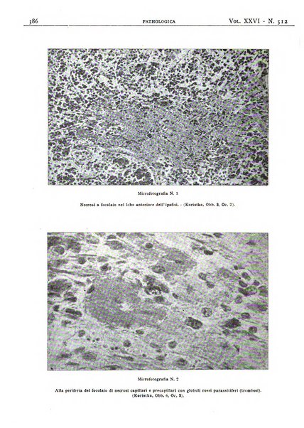 Pathologica rivista quindicinale