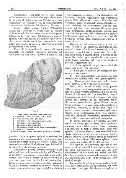 Pathologica rivista quindicinale