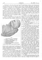 giornale/CFI0361052/1934/unico/00000456