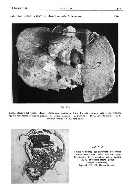 Pathologica rivista quindicinale