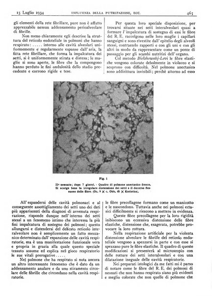 Pathologica rivista quindicinale