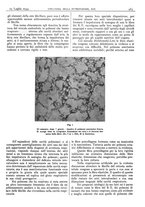 giornale/CFI0361052/1934/unico/00000497