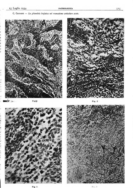 Pathologica rivista quindicinale