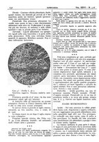 giornale/CFI0361052/1934/unico/00000700