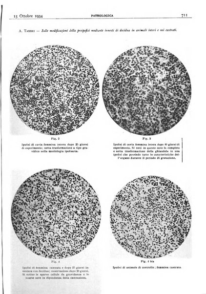 Pathologica rivista quindicinale