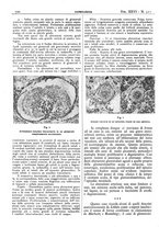 giornale/CFI0361052/1934/unico/00000768