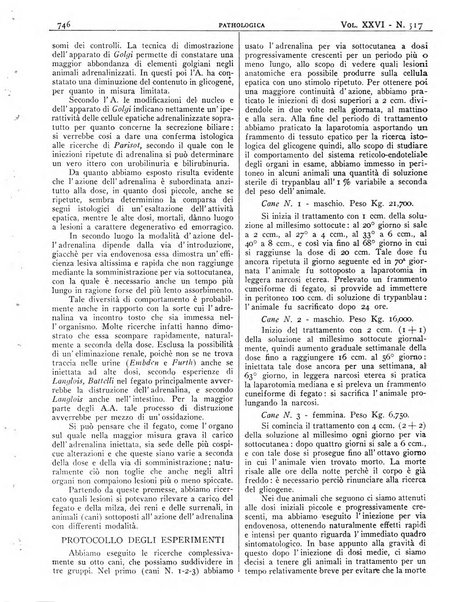 Pathologica rivista quindicinale