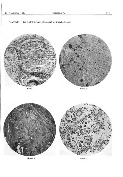 Pathologica rivista quindicinale