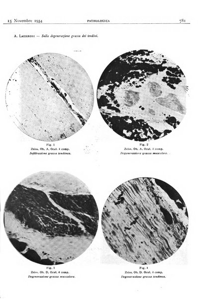 Pathologica rivista quindicinale