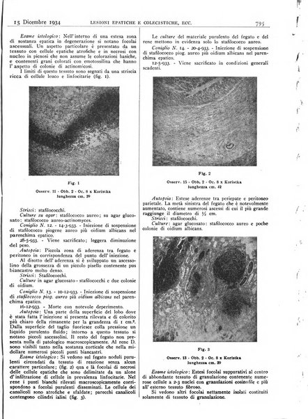 Pathologica rivista quindicinale