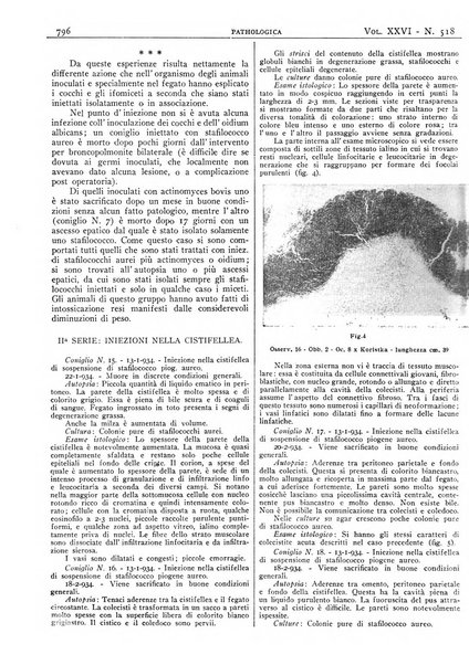 Pathologica rivista quindicinale