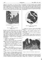 giornale/CFI0361052/1934/unico/00000850