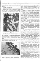 giornale/CFI0361052/1934/unico/00000851