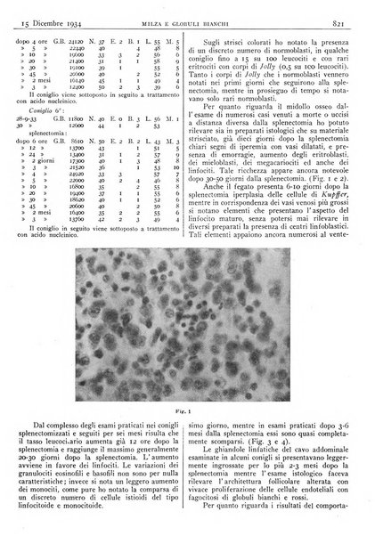 Pathologica rivista quindicinale