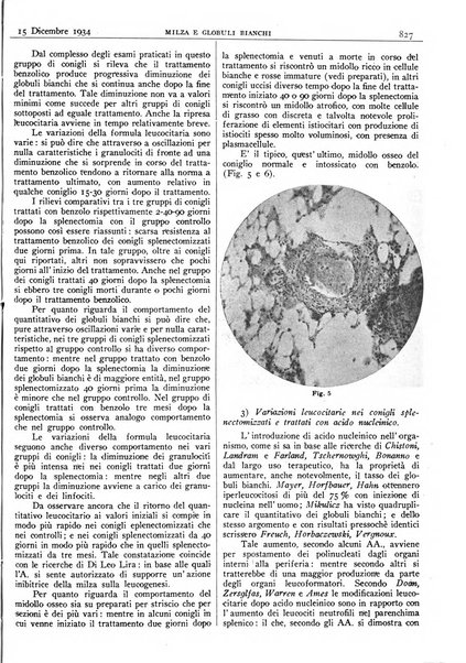 Pathologica rivista quindicinale