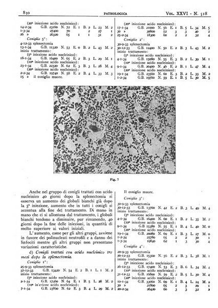 Pathologica rivista quindicinale